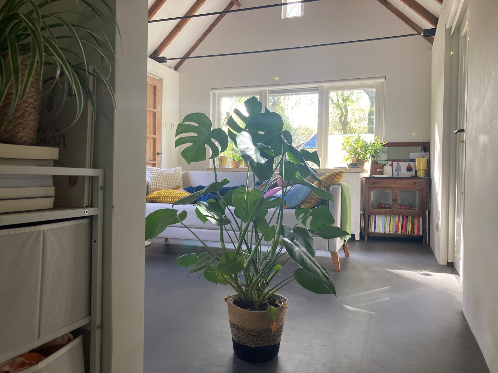 Coaching onderwijsprofessionals